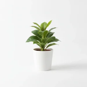 Artificial Potted Plant