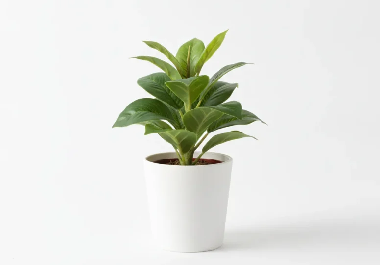 Artificial Potted Plant